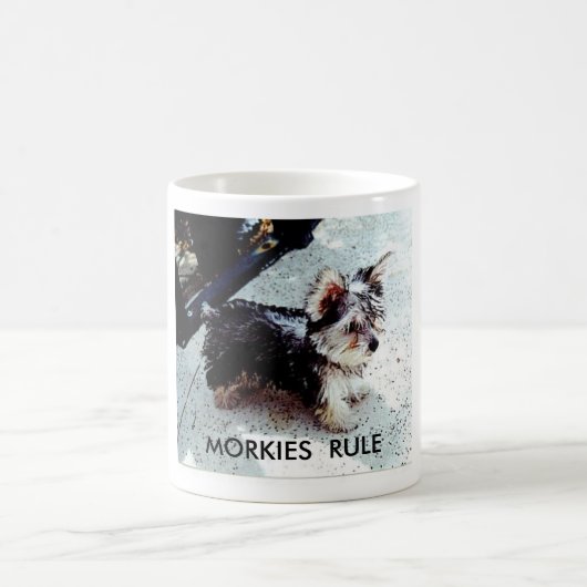 MUG DALILA, RÈGLE DE MORKIES (Centre)