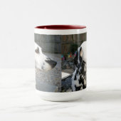 Mug Dalmatien - La reina de Cindy (Centre)