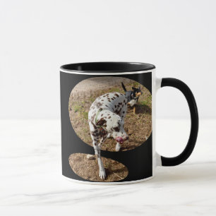 Mug Dalmatien Sortant Du Cadre De Fenêtre,