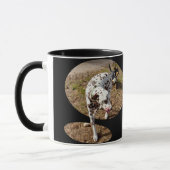 Mug Dalmatien Sortant Du Cadre De Fenêtre, (Gauche)