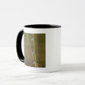 Mug Damselflies de accouplement (Devant gauche)