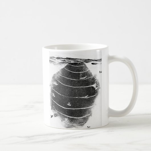 Mug d'animaux (Droite)