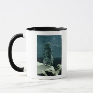 Mug Dans le nord sauvage, 1891