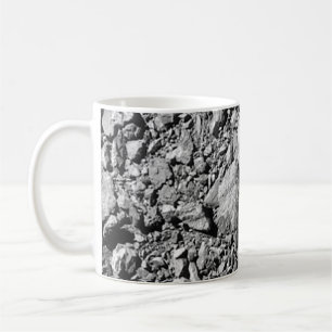 Mug DART Dimorphos Asteroid Moonlet Surface