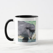Mug Dauphin des images | de Getty (Gauche)