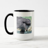 Mug Dauphin des images | de Getty (Gauche)