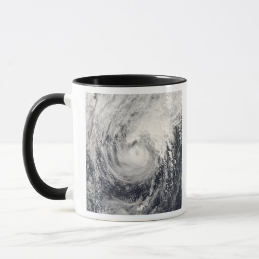 Mug Dauphin du typhon dans la mer des Philippines (Gauche)