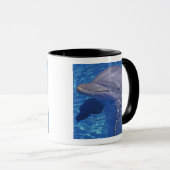 Mug Dauphin en voie d'ébullition, Truncatus Tursiops (Devant droit)
