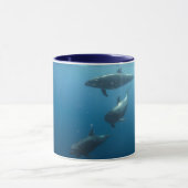 Mug Dauphins (Centre)