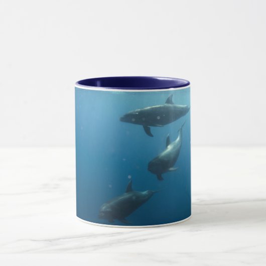Mug Dauphins (Centre)
