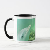 Mug Dauphins de verdure Tursiops truncatus (Gauche)