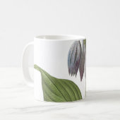 Mug daylily (Hemerocallis caerulea) par Redouté (Devant gauche)