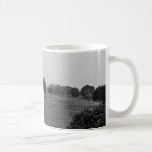 Mug De beaux arbres et la nature dans le brouillard (Droite)