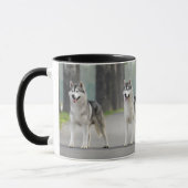 Mug De beaux chiens Husky sur un sentier naturel (Gauche)