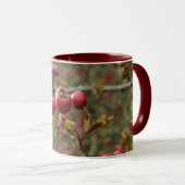 Mug de Berries d'Hawthorn (Devant droit)