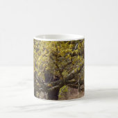 Mug de café blanc de la forêt (Centre)