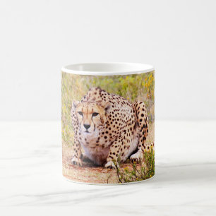 Mug de café cheetah du Zimbabwe