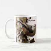 Mug de café Nuthatch à poitrine blanche (Gauche)