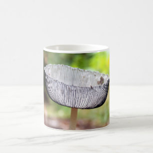 Mug de champignons de bouillon de bouillon de bouc