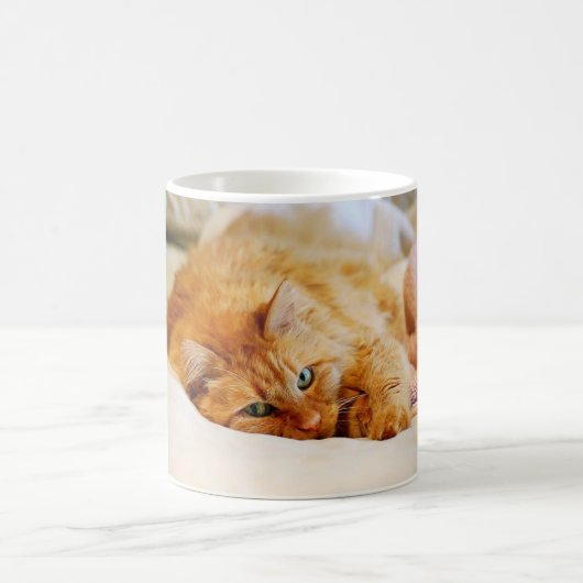 Mug de chat orange doux (Centre)