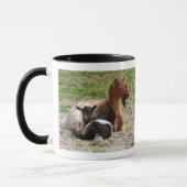 Mug de chèvre crétoise (Gauche)