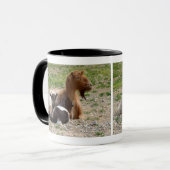 Mug de chèvre crétoise (Devant gauche)