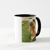 Mug De chien de roulement dos dessus (Devant droit)