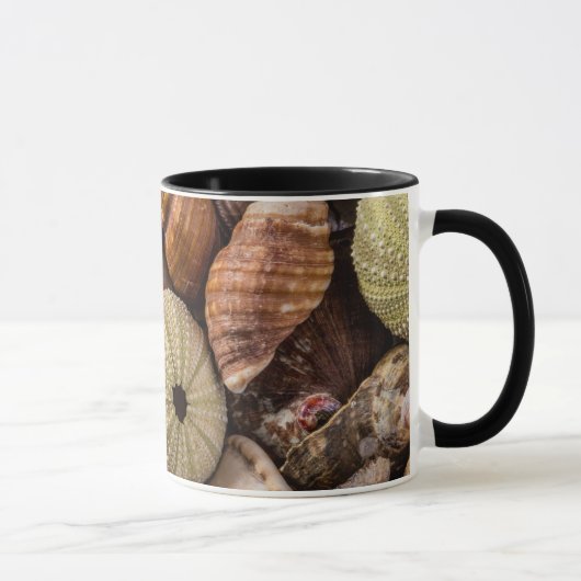 Mug de coquilles marines mixtes (Droite)