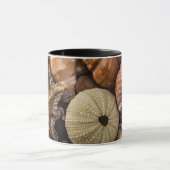 Mug de coquilles marines mixtes (Centre)