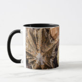 Mug de coquilles marines mixtes (Gauche)