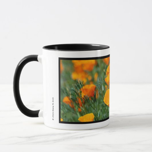 Mug de crapaud de Californie (Gauche)