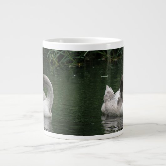 Mug de cygne endormi (Devant)