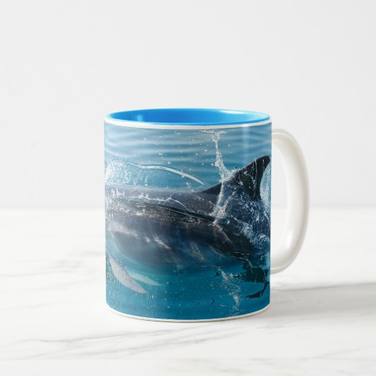 Mug de dauphin gris noir et blanc (Devant droit)