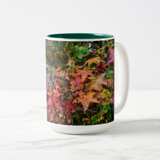 Mug de feuillage d'automne (Devant droit)