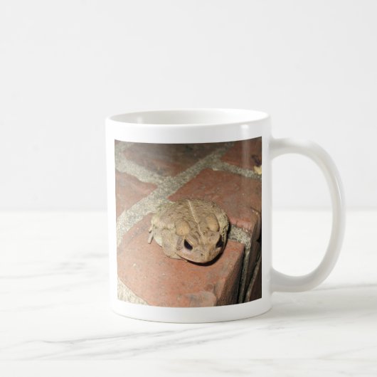 Mug de grenouille de crapaud (Droite)