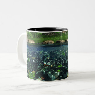 Mug de la rivière Cwm