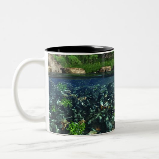 Mug de la rivière Cwm (Gauche)