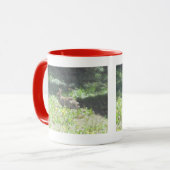 Mug de lapin sauvage (Devant gauche)