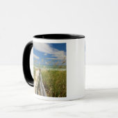 Mug de l'avoine marine (Uniola paniculata) poussant su (Devant gauche)