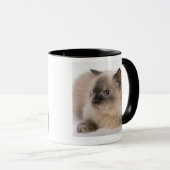 Mug De l'Himalaya (Devant droit)