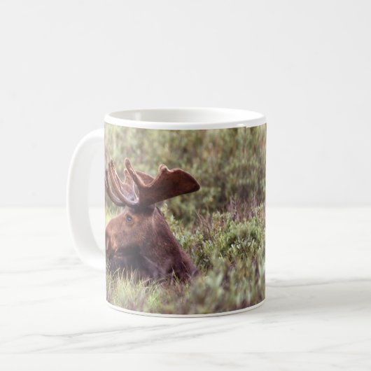 Mug de l'orignal (Devant gauche)