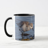 Mug De mignonnes fourrages de Sanderling sur le rivage (Gauche)