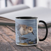 Mug De mignonnes fourrages de Sanderling sur le rivage