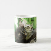 Mug De mignons chatons se câlinent (Centre)
