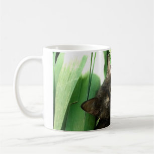 Mug De mignons chatons se câlinent