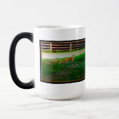 Mug de Morphage Red Fox (Gauche)