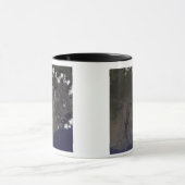 Mug De multiples panaches soufflent vers le sud-sud-ou (Centre)