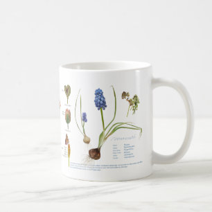 Mug De notre jardin vivace.