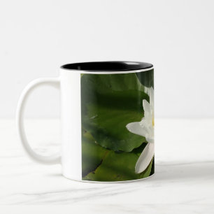 Mug de photo à fleurs de lotus blanc