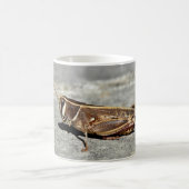 Mug de sauterelles à deux bandes (Centre)